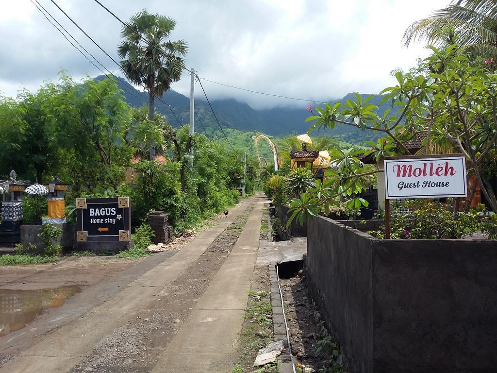 Molleh Guest House เปมูเตรัน ภายนอก รูปภาพ